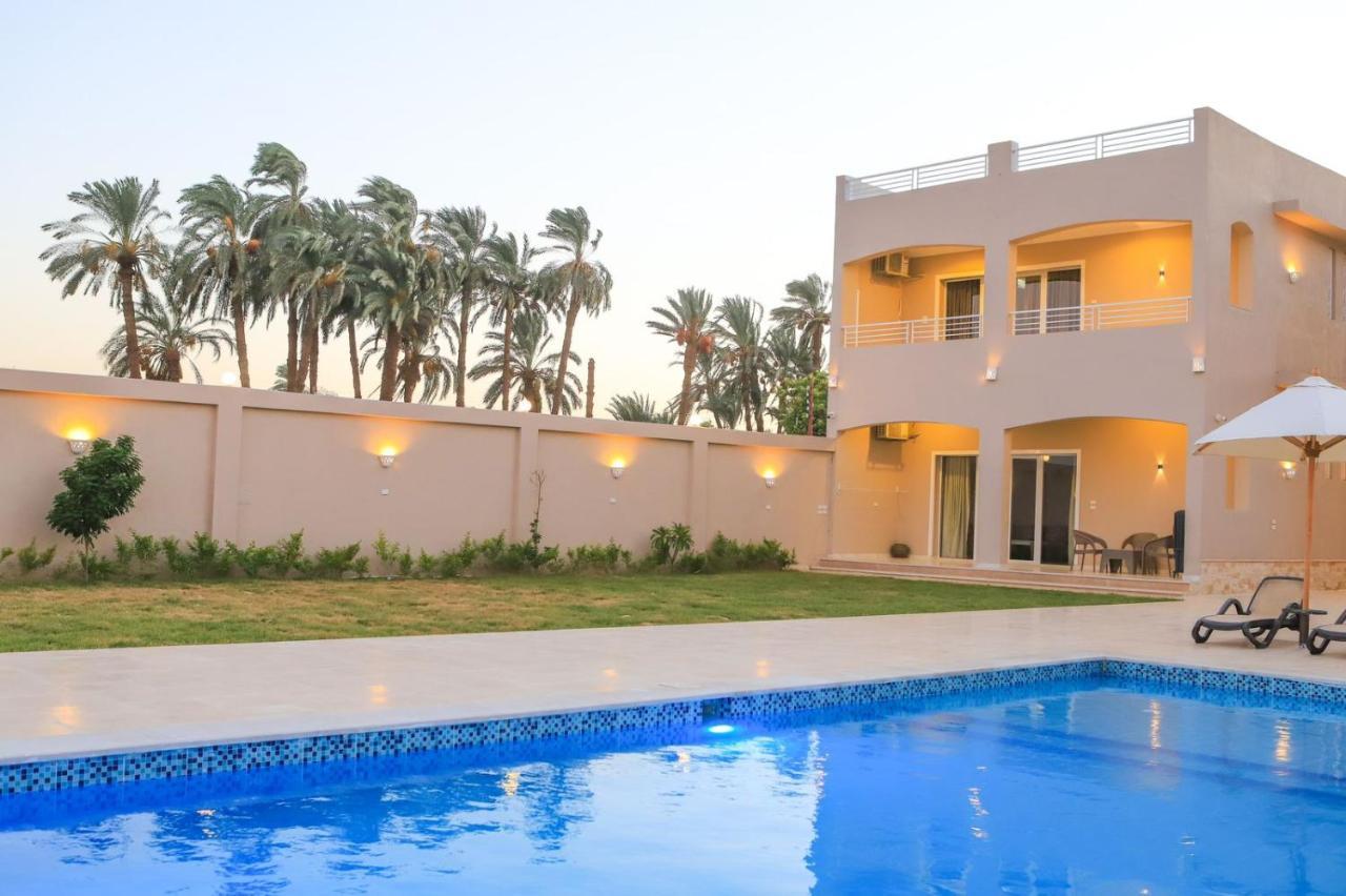 Royal Nile Villa - Pool View Apartment 1 樂蜀 外观 照片